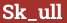 Brick with text Sk_ull