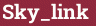 Brick with text Sky_link