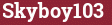 Brick with text Skyboy103
