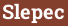 Brick with text Slepec