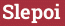 Кирпич с текстом Slepoi