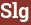 Brick with text Slg