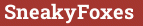 Brick with text SneakyFoxes