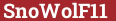 Brick with text SnoWolF11