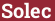 Brick with text Solec