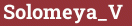 Brick with text Solomeya_V