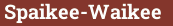 Brick with text Spaikee-Waikee