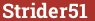 Brick with text Strider51