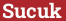 Кирпич с текстом Sucuk