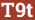 Brick with text T9t