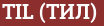 Brick with text TIL (ТИЛ)