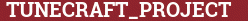 Brick with text TUNECRAFT_PROJECT