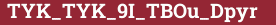 Brick with text TYK_TYK_9I_TBOu_Dpyr