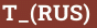 Brick with text T_(RUS)