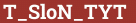 Brick with text T_SloN_TYT