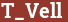 Brick with text T_Vell