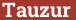 Brick with text Tauzur