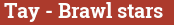 Brick with text Tay - Brawl stars