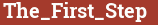 Brick with text The_First_Step