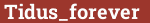 Brick with text Tidus_forever