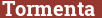 Brick with text Tormenta