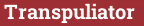 Brick with text Transpuliator