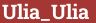 Brick with text Ulia_Ulia