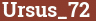Brick with text Ursus_72