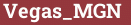 Brick with text Vegas_MGN