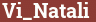 Brick with text Vi_Natali