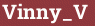 Brick with text Vinny_V