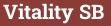 Brick with text Vitality SB