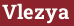 Brick with text Vlezya