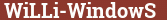 Brick with text WiLLi-WindowS
