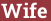 Brick with text Wife