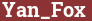 Brick with text Yan_Fox