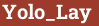 Brick with text Yolo_Lay