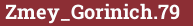 Brick with text Zmey_Gorinich.79