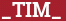 Brick with text _TIM_