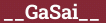 Brick with text __GaSai__