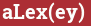 Brick with text aLex(ey)