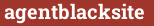 Brick with text agentblacksite