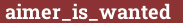 Brick with text aimer_is_wanted