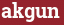 Brick with text akgun