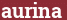 Brick with text aurina