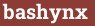 Brick with text bashynx