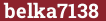 Brick with text belka7138