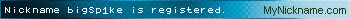 Nickname bigSp1ke is registered