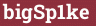 Brick with text bigSp1ke