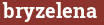 Brick with text bryzelena